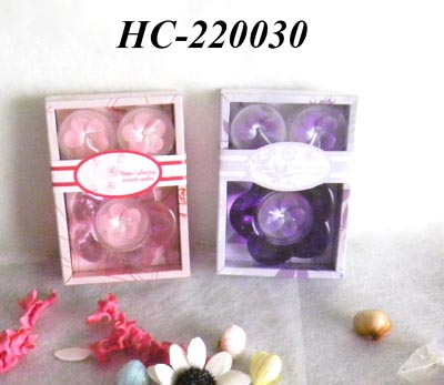 Scented candle with glass holder set